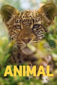 Animal (2021) Web Series