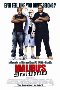 Malibus Most Wanted (2003) Hindi Dubbed