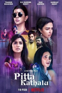 Pitta Kathalu (2021) Web Series